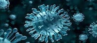 Death case reported by H3N2 virus.!